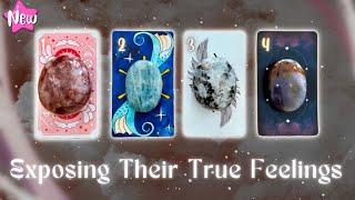 How They’re Currently Feeling About You️ Pick a Card Timeless In-Depth Love Tarot Reading