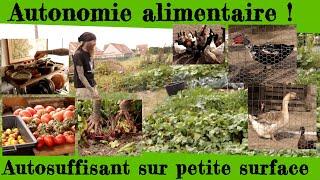 Autonomie alimentaire.  Être autosuffisant sur petite surface !