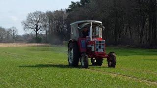 Dünger streuen mit IHC 633 und Amazone ZA-X perfect 602