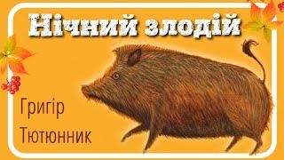 НІЧНИЙ ЗЛОДІЙ (Григір Тютюнник) - #слухайукраїнське