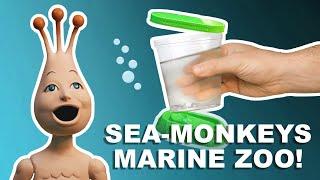 Is This The Worst Sea-Monkey Tank Ever Made? | Marine Zoo!