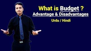 What is Budget & Its Advantage & Disadvantages ? Urdu / Hindi