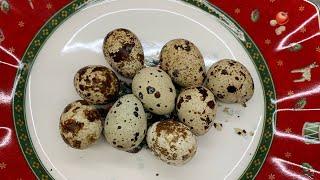 Love jane vlog is live #asmr peeling quail egg's  wow #amazing  #yummy #viralvideo