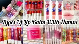 Types Of Lip Balm With Name/Different Types Of Lip Balm/Lip Balm Name List/#trendygirlneeti #lipbalm