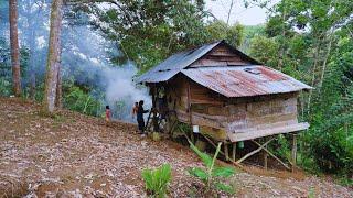 Stay at Cabin in Forest with Family - Cook Eel and Eat Together at Cabin