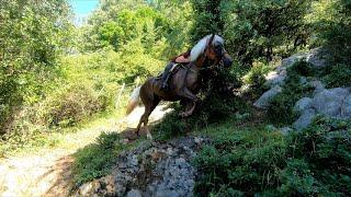 De aventurillas con Suso y Blondie