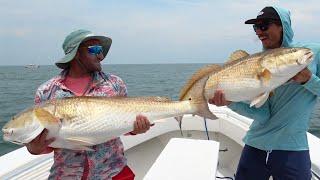 SIGHT FISHING COBIA & DRUM MADNESS! CATCH FISH CREW 2024