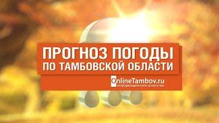 Прогноз погоды в Тамбове и Тамбовской области на 29 сентября 2020 года