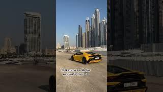 Lamborghini Ламборгини Дубай Dubai #lamborghini #dubai #небоскребы #эмираты