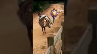 mobile legend funny memes .          #mlbb #meme #mobile_legend #ml #tiktokml #viral