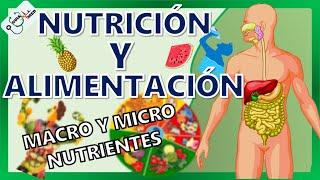 CONCEPTOS BÁSICOS DE NUTRICIÓN Y ALIMENTACIÓN | GuiaMed