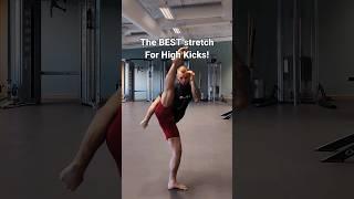 The BEST Stretch for High Kicks  #karate #mma #shorts #martialarts #flexibility  #stretching