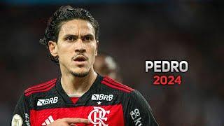 Pedro 2024 ● Flamengo ► Magic Goals, Skills & Assists | HD