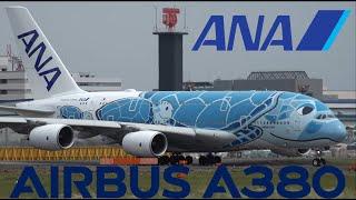 ANA Airbus A380 JA381A Takeoff from NRT 16R