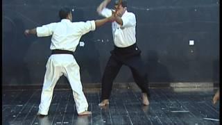 zakaria hasan ( Dan 5 ) ryute kempo karate tambo technique