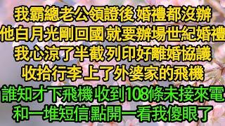 我霸總老公領證後 婚禮都沒辦，他白月光剛回國 就要辦場世紀婚禮，我心涼了半截 列印好離婚協議，收拾行李 上了外婆家的飛機，誰知才下飛機 收到108條未接來電，和一堆短信 點開一看我傻眼了|豪門|霸總|