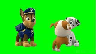 paw patrol green screen - دوريات المخلاب كروما