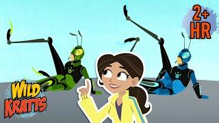 Grasshopper Power Problems | Creature Transformations | Wild Kratts