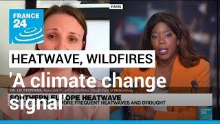 'A climate change signal': Britain, France brace for hottest day as Europe fires rage • FRANCE 24