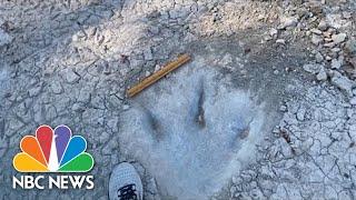 Texas Drought Reveals Dinosaur Tracks In Dried Up Riverbed