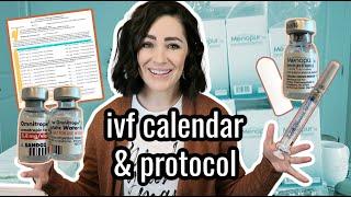 IVF Calendar & Protocol