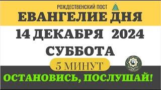 14 ДЕКАБРЯ СУББОТА ЕВАНГЕЛИЕ ДНЯ 5 МИНУТ АПОСТОЛ МОЛИТВЫ 2024 #мирправославия