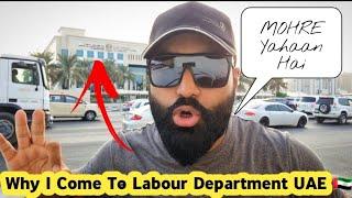 MOHRE ( Labour Law 2022 ) Why I Come To Labour Department UAE 