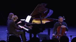 "Musical Pilgrimage" performed by Boris Andrianov/Philipp Kopachevsky (cello and piano version)