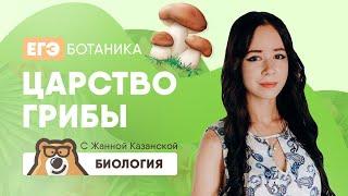 Царство грибы | Биология ЕГЭ 2020 | УМСКУЛ