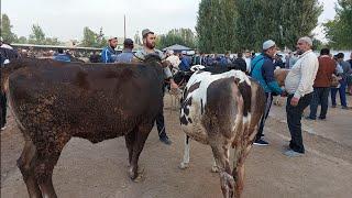 Tergachi mol bozori ģunajinlar VA sigirlar narhlari bilan tanishing 6.09.2024yil