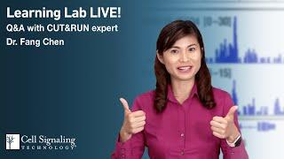 Reasons to Try CUT&RUN to Analyze Protein-DNA Interactions | Learning Lab LIVE!