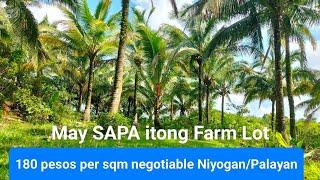 #V199 FARM LOT FOR SALE may SAPA 180 pesos per sqm 1.4 hectares Cocofarm may kasamang Palayan...