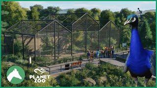Peafowl Aviary | Elm Hill City Zoo | Planet Zoo