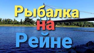 Рыбалка в Германии на Рейне