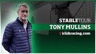 Tony Mullins Stable Tour | February 2023