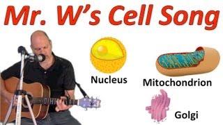 The Cell Song! Learn the parts of cells by singing along with Mr. W!