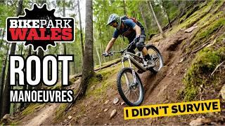 Root Manoeuvres Bike Park Wales