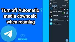 How to turn off automatic media downoald when roaming On Telegram