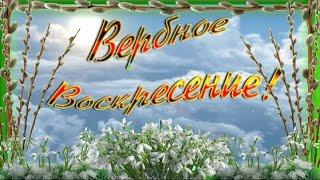 ВЕРБНОЕ ВОСКРЕСЕНИЕ PALMSUNDAY КРАСИВЫЕ ПОЗДРАВЛЕНИЯ С ВЕРБНЫМ ВОСКРЕСЕНЬЕМ Лучшие видео открытки