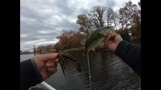 Bmac fishing  Lake of Egypt