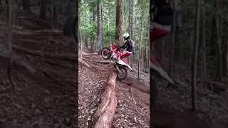 Dirtbike and tree 