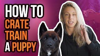 HOW TO CRATE TRAIN A PUPPY