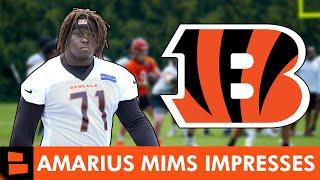 REPORT: Amarius Mims HYPED UP By Cincinnati Bengals Coaches | Bengals Rumors On ESPN Rookie Report