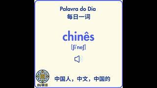 Palavra do Dia 每日一词 - chinês