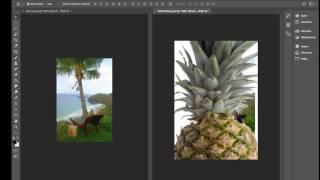 Photoshop:  Layers Part 1