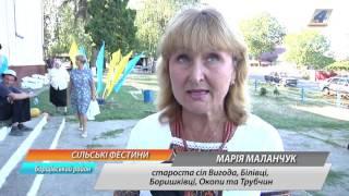 Мешканці Вигоди вирішили зробити фестиваль "Барви Поділля" традиційним