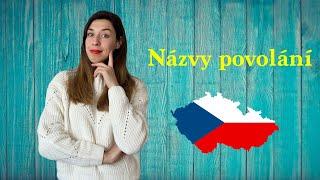 Názvy povolání. Названия профессий. Чешский язык