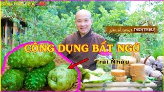 Bài thuốc Trị ĐAU THẮT LƯNG, NHỨC XƯƠNG KHỚP Đi Đứng Khớp kêu Lụp Cụp, Đau Nhức Lưng| Chùa Pháp Tạng