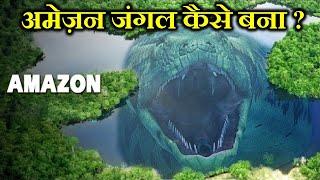 अमेज़न जंगल कैसे बना ? HOW DID THE AMAZON JUNGLE FORM ?