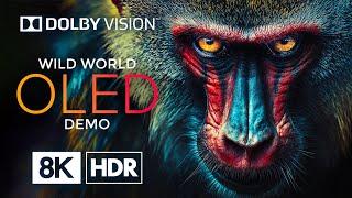 OLED 8K HDR 60fps with Dolby Vision – Experience The Ultimate Visuals